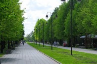 У Луцьку капітально відремонтують центральну алею парку імені Лесі Українки: що зміниться