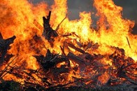 У селі на Волині горіла літня кухня