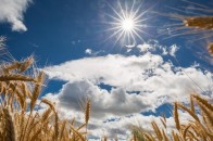 Якою буде погода в Україні у день виборів