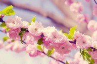 Якою буде погода у квітні: прогноз