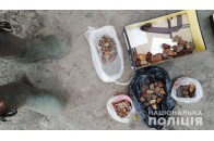 На Волині зловили групу бурштинокопачів (фото)