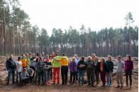 Встановили національний рекорд: волонтери висадили понад 77 тисяч дерев протягом дня