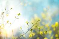 Холодно, без істотних опадів: прогноз погоди на вихідні – 13-14 квітня