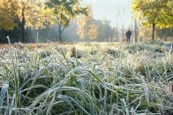 Волинян попереджають про заморозки