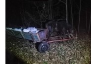 Волиняни везли підводою 800 кілограм сала до Білорусі (фото)