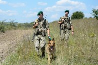Повідомили скільки інспекторів-кінологів працює у Держприкордонслужбі