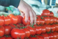 В Україну завезли заражені помідори