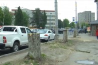 Чому в центрі Луцька зрізали каштани