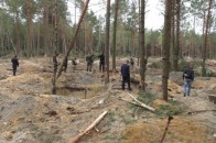 Хотіли заробити: на Волині затримали бурштинокопачів