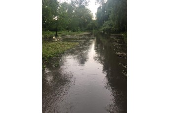 У місті на Волині через негоду затопило парк (фото)