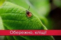 Кліщі атакують: як вберегтися