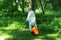 Лучани вимагають терміново знищувати комарів у зонах відпочинку