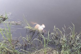 Встановлена особа жінки, яку знайшли мертвою у річці Стир в Луцьку