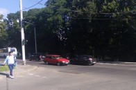 У Луцьку невідомі викинули з вікна автомобіля двох кошенят та переїхали одне з них − соцмережі