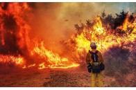 На Волині оголосили надзвичайний рівень пожежної небезпеки (карта)
