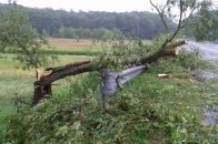 На Волині негода буквально за декілька хвилин наробила людям біди