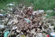 Лучанин влаштував стихійне сміттєзвалище у дворі