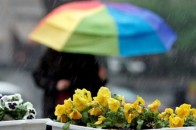 Парасолька стане необхідним атрибутом: синоптики дали невтішний прогноз