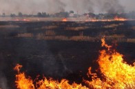 У селі неподалік Луцька сталась масштабна пожежа (фото)
