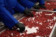 Недалеко від Луцька збудують новий завод