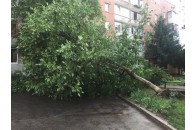 Жахлива трагедія: негода вбила жінку, її внучка – у важкому стані