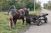 У селі на Волині чоловік на кінній підводі протаранив ворота