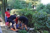 У луцькому дворі побитий чоловік пролежав у кущах декілька днів (відео)