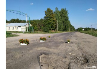На Волині селяни засадили ями на дорозі квітами (фото)