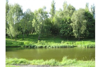 У Луцькому парку 900-річчя хочуть облаштувати майданчик для вигулу собак