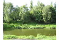 У Луцькому парку 900-річчя хочуть облаштувати майданчик для вигулу собак