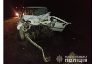 Повертались з весілля: 3 українців та туркеня загинули у жахливій аварії, ще 4 – у лікарні (фото)