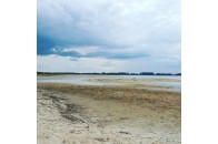 За літо рівень води у волинському озері рекордно понизився