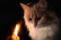Де в Луцьку не буде світла у понеділок, 16 вересня