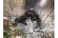 У Луцьку від вибуху газового балону чоловік згорів живцем, поліція намагається встановити особу (фото 18+)