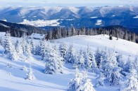У Карпатах знову пішов сніг