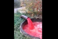 Кадри наче з фільму жахів: на Волині занепокоєні зливанням у ґрунт відходів птахофабрики