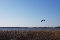 Розшук посадовця Луцькради: шукають у воді та з повітря (фото)