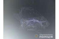 У смертельній автотрощі загинули троє дорослих і дитина, ще семеро – госпіталізовані