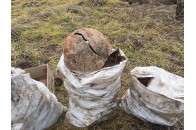 На Волині знайшли рештки тіл 33 солдатів
