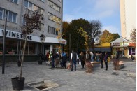 У Луцьку в новому сквері висадили декоративні сливи, платани та клени