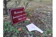 На Волині вандали нищать дендрологічний парк