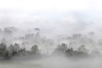 В Україні оголосили попередження про сильний туман