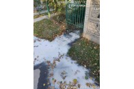 У Луцьку жінка зливала нечистоти прямо на дорогу (фото)