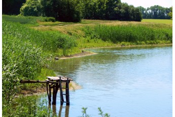 На Волині підприємець захопив ставок, вартістю майже сім мільйонів гривень