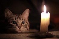 Де сьогодні, 31 жовтня, у Луцьку та на Волині не буде світла