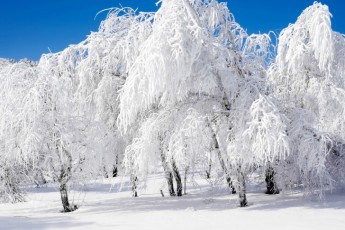 Мороз -20 і сильний сніг: синоптики дали прогноз, коли прийде справжня зима