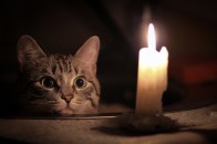 Де у Луцьку та на Волині не буде світла у вівторок, 5 листопада