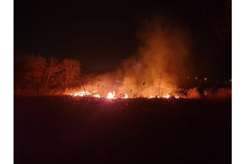 На Волині внаслідок нічної масштабної пожежі вигоріло 5 гектарів сухої трави