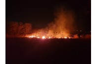 На Волині внаслідок нічної масштабної пожежі вигоріло 5 гектарів сухої трави