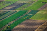 В залежності від області: у Гончарука відповіли, скільки коштуватиме земля на Волині